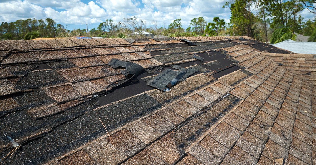 A roof with brown asphalt shingles; many of the shingles are damaged and peeling up, revealing the black roofing felt underneath.
