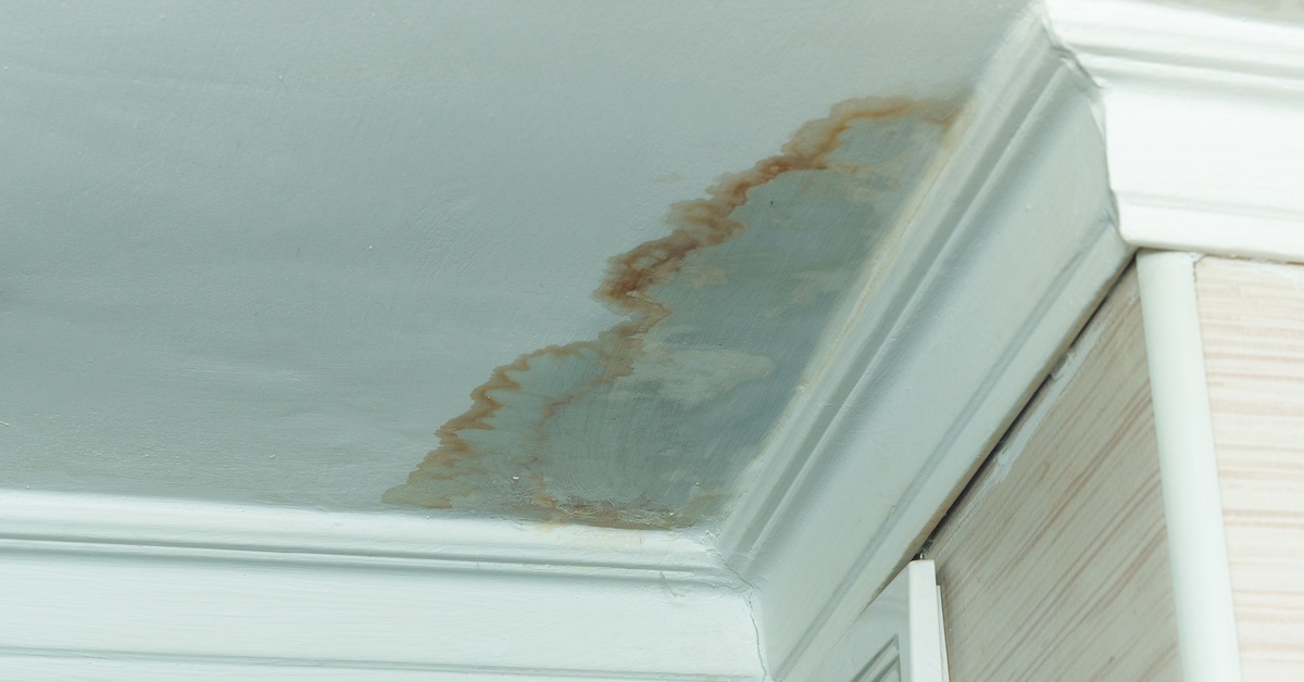 A close-up of a corner of a home’s ceiling with white crown molding and a large, irregular brown and gray water stain.