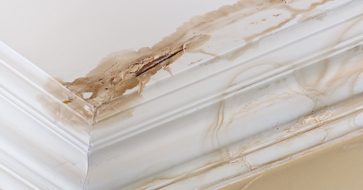 Close-up to the corner of a home’s ceiling with white finishes and a large brown water stain along the edge.